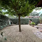 House, Beach, Downtown, Port, Walking Distance Vakantiehuis *