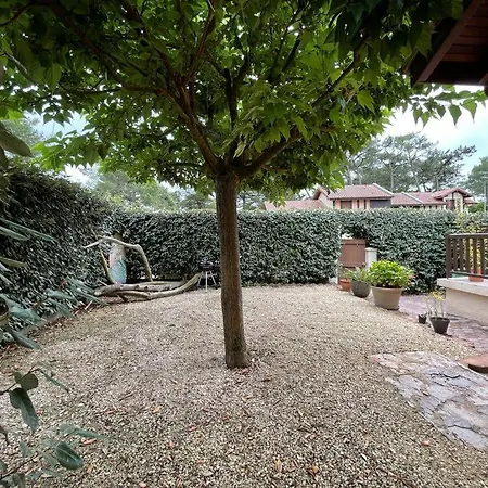 House, Beach, Downtown, Port, Walking Distance בית נופש *