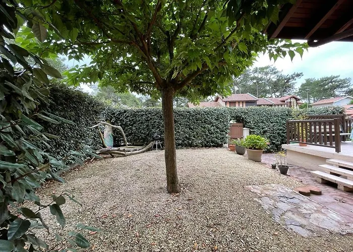 House, Beach, Downtown, Port, Walking Distance Holiday home *